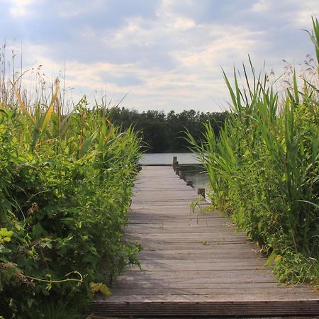 Moderne Und Helle Ferienwohnung Am Ploener See Bosau Esterno foto