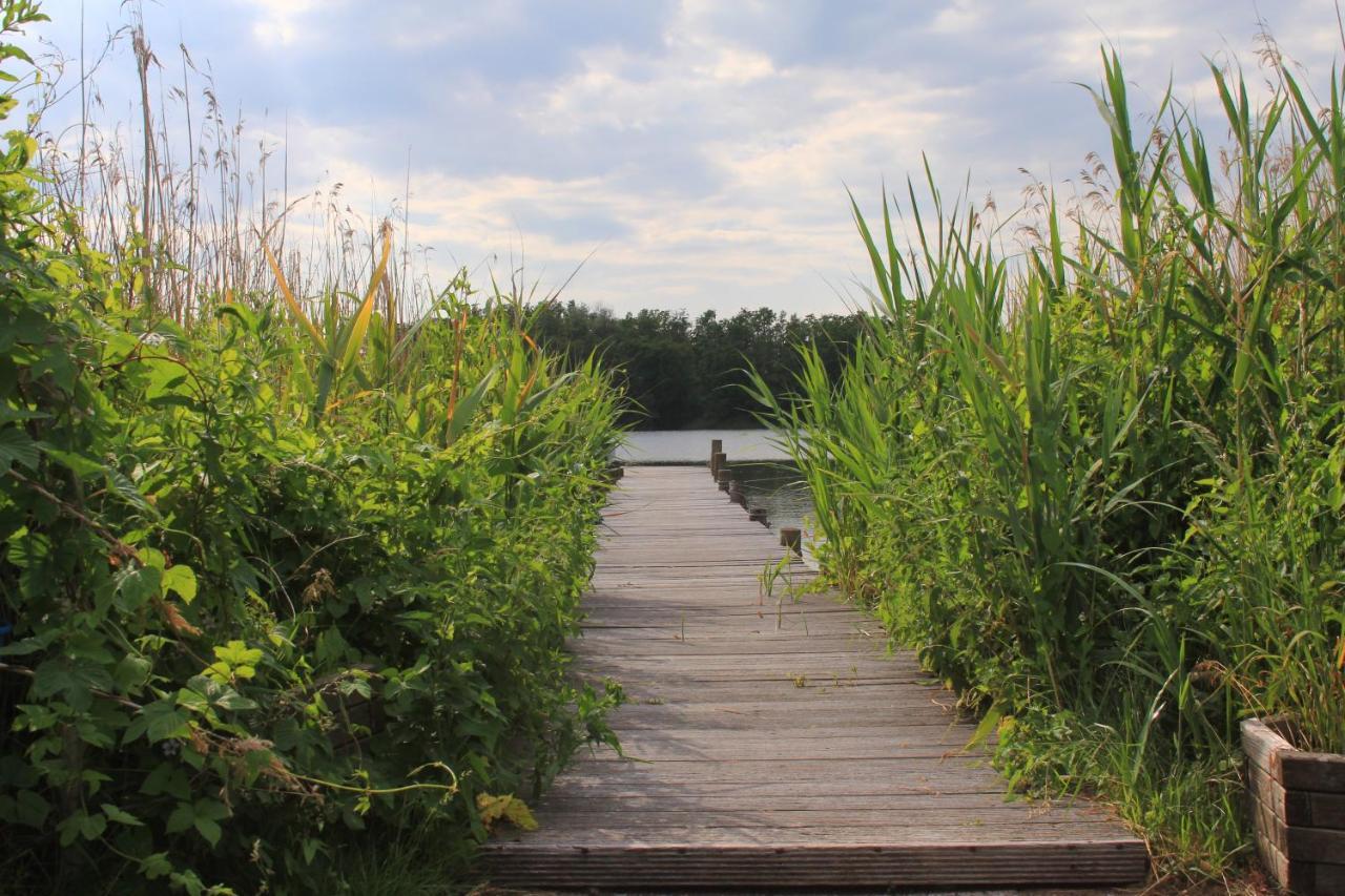 Moderne Und Helle Ferienwohnung Am Ploener See Bosau Esterno foto